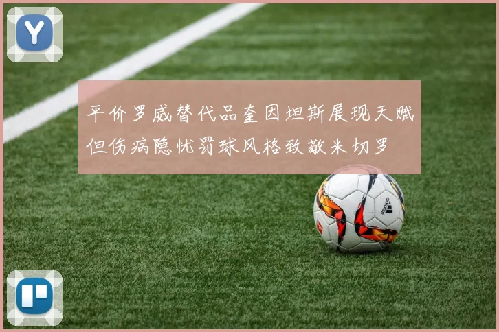 平价罗威替代品奎因坦斯展现天赋但伤病隐忧罚球风格致敬米切罗