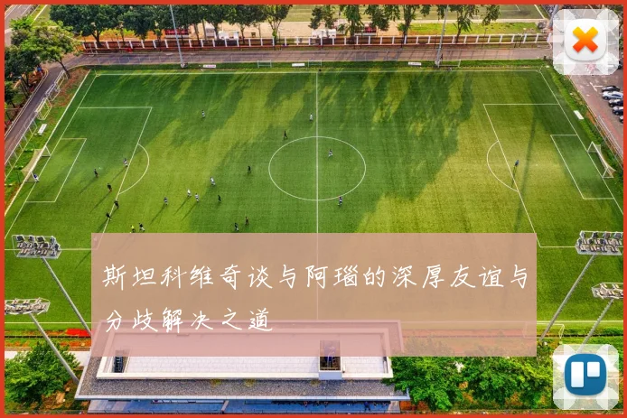 斯坦科维奇谈与阿瑙的深厚友谊与分歧解决之道